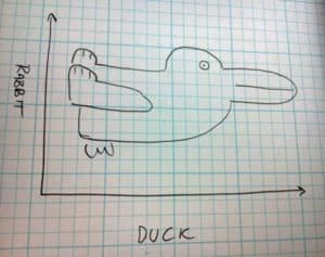 duck bunny
