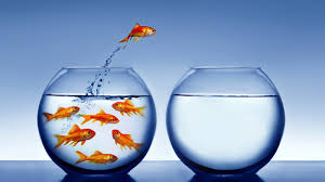 freewill