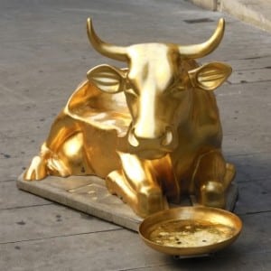 goldencalf