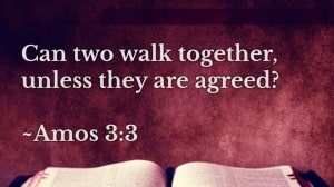 amos 3-3