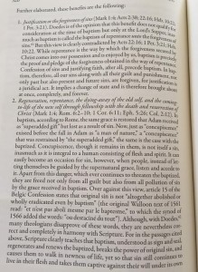 bavinck 5