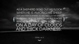 Ezekiel 34:12 [widescreen]